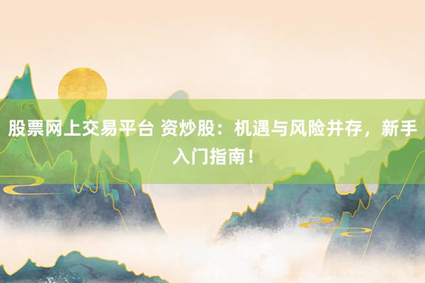 股票网上交易平台 资炒股：机遇与风险并存，新手入门指南！
