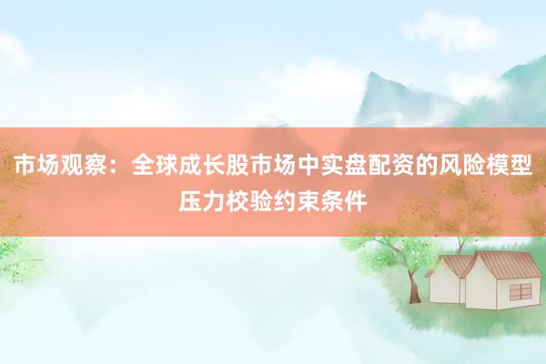 市场观察：全球成长股市场中实盘配资的风险模型压力校验约束条件