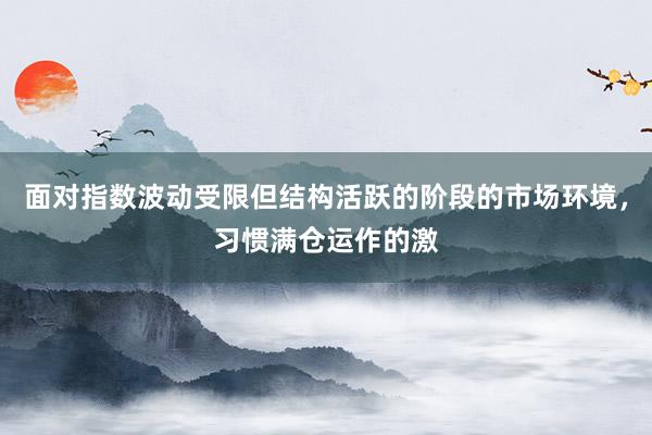 面对指数波动受限但结构活跃的阶段的市场环境，习惯满仓运作的激