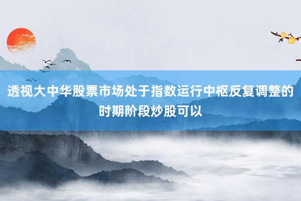 透视大中华股票市场处于指数运行中枢反复调整的时期阶段炒股可以