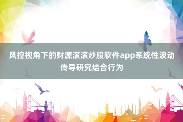 风控视角下的财源滚滚炒股软件app系统性波动传导研究结合行为